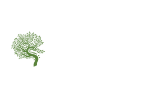 lumen scuola di naturopatia